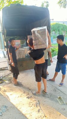 Thuê dịch vụ xe uy tín, chất lượng tại Hà Nội ở Đức Quyết